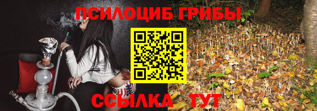 Псилоцибиновые грибы мицелий Черногорск