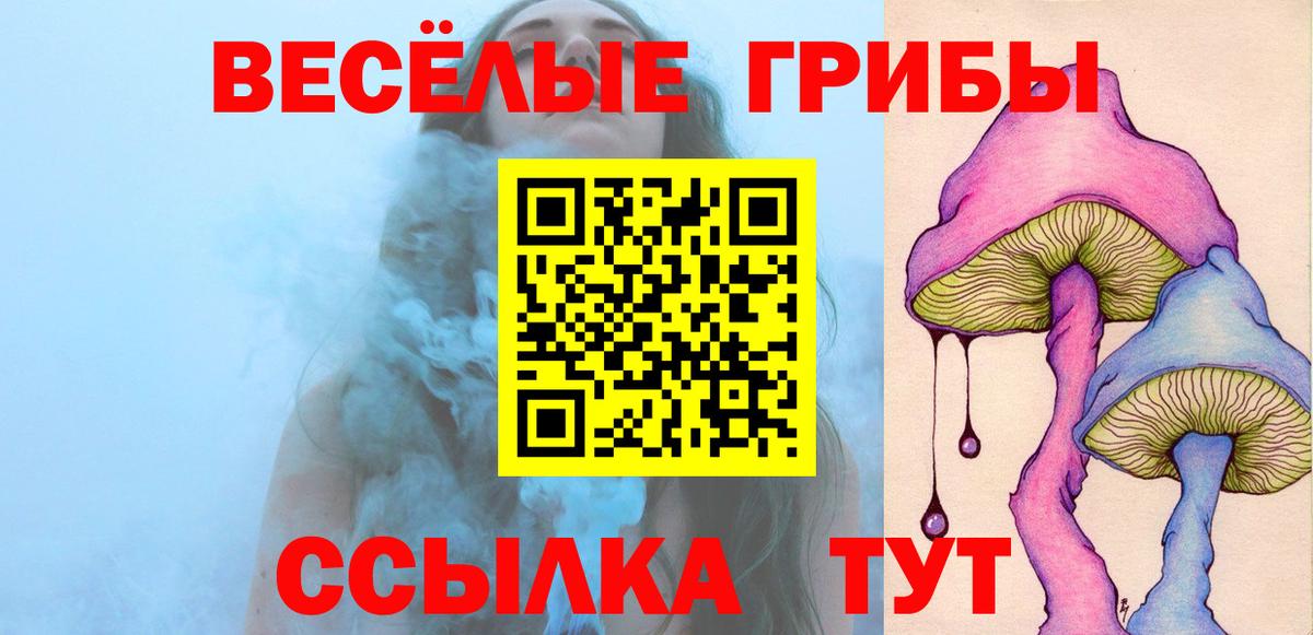 Черногорск  Псилоцибиновые грибы Psilocybe  Вход с VPN 